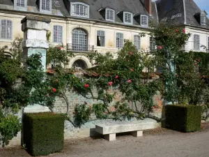 Tuinen van Valloires - Cisterciënzer abdij van Valloire, klimrozen (rozen), schoongemaakt struiken en bank