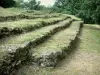 Tumulus de Bougon - Nécropole néolithique de Bougon - Site mégalithique : tumulus