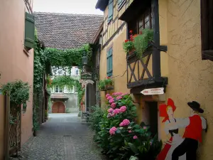 Turckheim - Gasse mit ihren Häusern geschmückt mit Pflanzen und Blumen