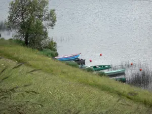 Upper Jura Regional Nature Park - Les Rousses lake, boats on the water, tree and shore