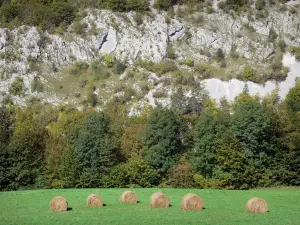 Upper Jura Regional Nature Park - Jura mountain range: bales of hay in a meadow, trees and mountain