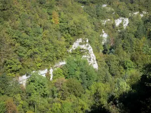 Upper Jura Regional Nature Park - Jura mountain range: forest 