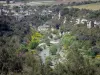 Upper Languedoc Regional Nature Park - River lined with trees, blooming brooms, rock faces and vineyards