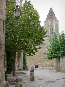 Uzès - Callejón en el casco antiguo, farolas, árboles y la capilla gótica del ducado en el fondo