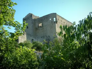 Vaison-la-Romaine - Château entouré d'arbres