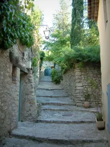 Vaison-la-Romaine - Rue étroite pavée de la cité médiévale (Haute-Ville) avec une maison, des murs en pierre, des plantes et des arbres