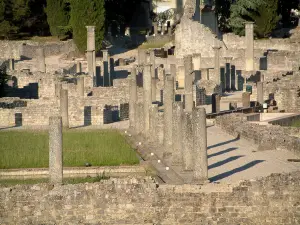 Vaison-la-Romaine - Archeological site: Gallo-Roman remains (ancient ruins) of the Villasse district