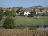 Val di Besbre - Besbre fiume, mandria di mucche in un pascolo, e le case nella valle del Besbre