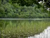 Val lake - Reeds, lake and trees