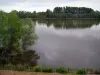 Val de Loire - Fleuve (la Loire), arbres dans l'eau et rives