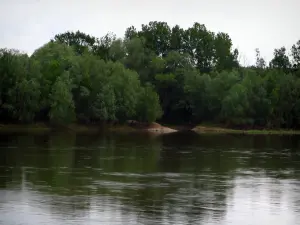 Val de Loire - Fluss (die Loire) und Bäume am Rande des Wassers