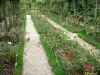 Val-de-Marne rose garden - Blooming roses