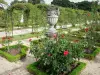 Val-de-Marne rose garden - Rose garden