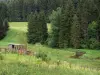 Val di Mouthe - Hut, fiori selvatici, vegetazione, fiumi e alberi (alberi) nel Parco Naturale Regionale di Haut-Jura