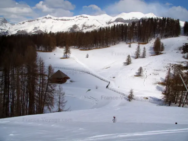 Valberg - Domaine skiable de la station : neige, arbres, montagnes et nuages dans le ciel bleu