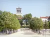 Valence - Esplanade du Champ de Mars and its trees with a view of the bell tower of the Saint-Apollinaire cathedral