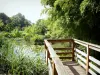 Valence - Parc Jouvet: wooden pontoon at the water's edge