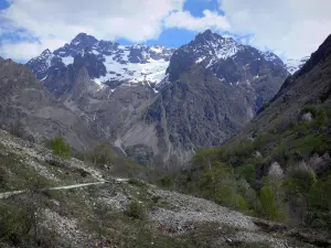 Valgaudemar - Tal des Valgaudemar: Pfad, Bäume und Berge mit schneebedeckten Gipfeln; im Nationalpark Ecrins (Ecrins Massiv)