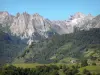 Valle del Aspe - Bosque y montañas del valle de los Pirineos