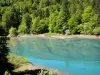 Valle del Aspe - Anglus lago rodeado de árboles