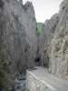 Valle del Bès - Clue Barles de: pareti rocciose e la strada lungo il fiume Bes
