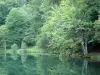 Valle di Bethmale - Bethmale riva del lago e piantato con alberi nel Parco Naturale Regionale dei Pirenei Ariège, in Couserans