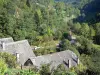 Valle de Bethmale - Los techos de las casas y los árboles en el Parque Natural Regional de los Pirineos de Ariège, en Couserans