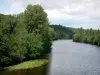 Valle del Creuse - Los árboles a lo largo del río Creuse