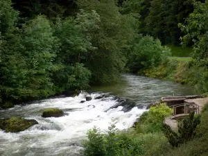 Valle del Dessoubre - Dessoubre fiume e gli alberi in riva al mare