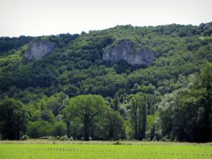 Valle della Dordogna - Campo, alberi e pareti rocciose, in Quercy