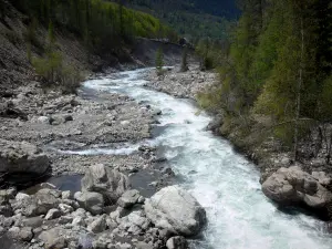 Valle del Drac Noir - Drac Torrent Black, rocce, pietre e gli alberi lungo l'acqua del Champsaur, nel Parco Nazionale degli Ecrins