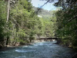 Valle di Freissinières - Ponte sul torrente di Biaysse (Biaisse) e gli alberi sul bordo dell'acqua nel Parco Nazionale degli Ecrins