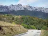 Valle del Grésivaudan - Grésivaudan strada, alberi e boschi, falesie (pareti rocciose) della catena montuosa Chartreuse che domina la valle