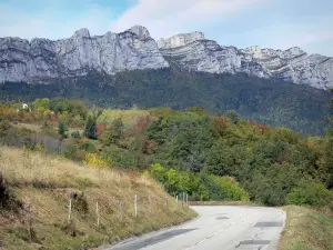 Valle del Grésivaudan - Grésivaudan strada, alberi e boschi, falesie (pareti rocciose) della catena montuosa Chartreuse che domina la valle
