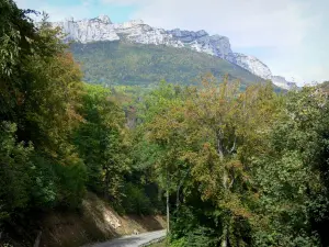 Valle del Grésivaudan - Grésivaudan strada fiancheggiata da alberi, falesie (pareti rocciose) della catena montuosa Chartreuse che domina la valle