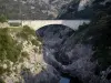 Valle del Hérault - Gorges de l'Hérault: puente, roca, río Hérault y arbustos