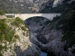Valle dell'Hérault - Gorges de l'Hérault: ponte, roccia, fiume Hérault e arbusti