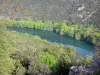 Valle del Hérault - Herault río rodeado de árboles