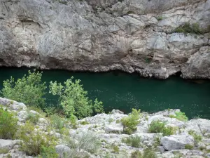 Valle del Hérault - Gorges de l'Hérault: roca, río Hérault y arbustos