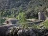 Valle del Hérault - La construcción de represas del río Hérault y los árboles