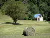 Valle di Lesponne - Haystack, albero in un pascolo e casa in pietra, nel Bigorre