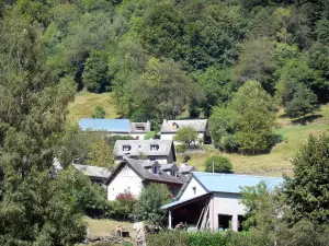 Valle di Lesponne - Case circondate da alberi nella Bigorre