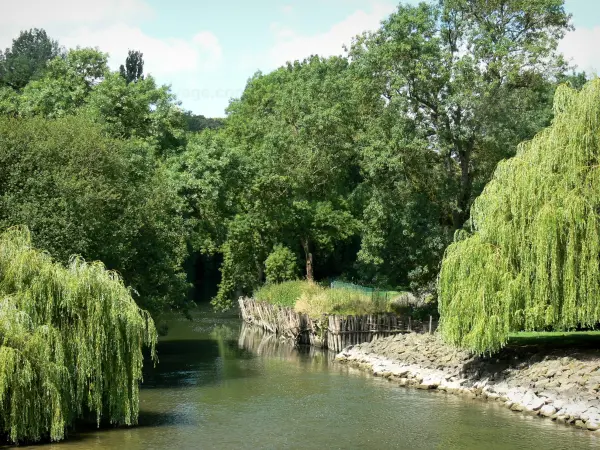 Valle del Loir - Loir fiume fiancheggiato da alberi per la Carta-sur-le-Loir