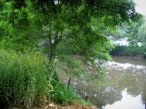 Valle del Loir - Banco con árboles y vegetación a lo largo del río (el Lirón)