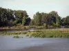 Valle del Loira - Río Loira, la vegetación y la costa bordeada de árboles