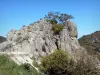 Valle del Lot - Roca gargantas Lot