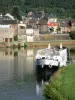 Valle della Meuse - Parc Naturel Régional des Ardennes: fiume Mosa, nave da crociera ormeggiata e facciate della città Monthermé