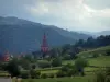 Valle de Munster - Pueblo rodeado de viñedos, árboles, colinas y montañas