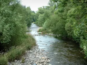 Valle de Munster - Fecht río rodeado de árboles