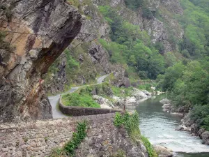 Valle del Nive - Río Nive, árboles a lo largo de la pequeña carretera y agua ranuras de la Nive